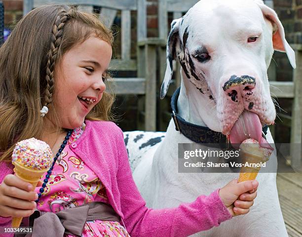 girl & huge great dane dog with ice creams - dog licking stock pictures, royalty-free photos & images