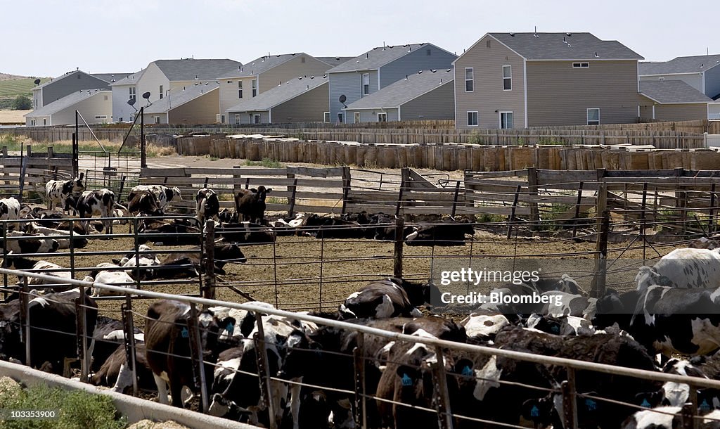 Foreclosure Crisis Spreads Across U.S. As Idaho Defaults Mount