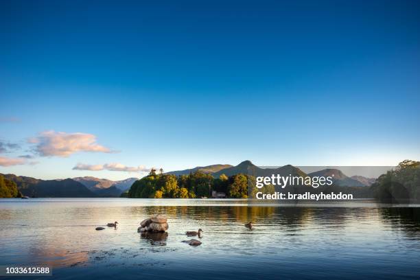 enten schwimmen auf dem see derwentwater in der nähe von keswick, england - derwent water stock-fotos und bilder