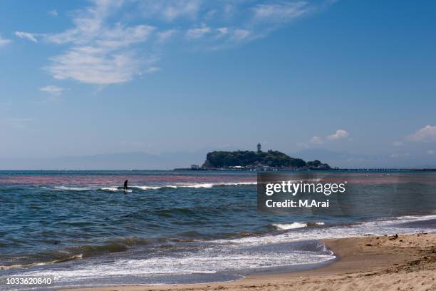 Red Tide Background Red Tide Photos and Premium High Res Pictures - Getty Images