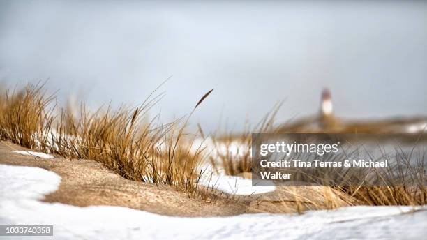 snow covered dunes with lighthouse on the isle of sylt in winter - ellenbogen stock pictures, royalty-free photos & images