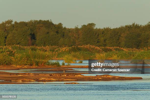 Crocodiles sun themselves on the banks of the Limpopo river at the Pafuri game reserve on July 22, 2010 in Kruger National Park, South Africa. Kruger...