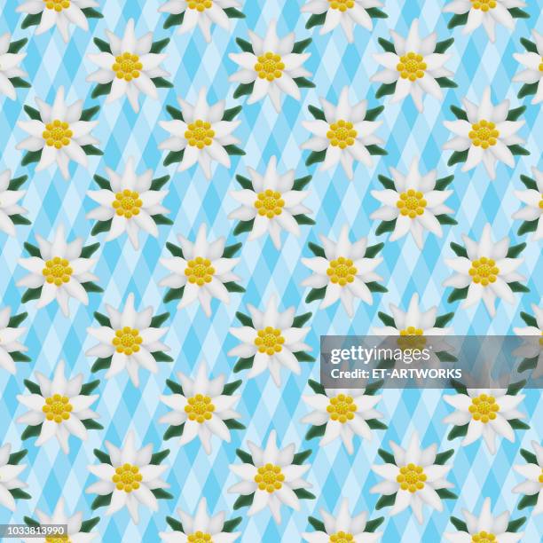 vector edelweiss seamless pattern - edelweiss stock illustrations