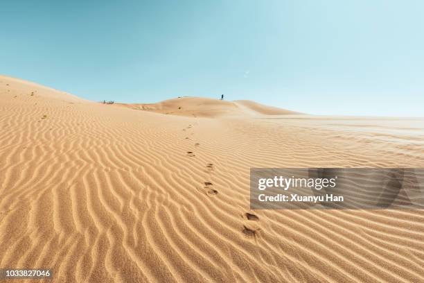 rear view of man walking on desert against sky - 内モンゴル ストックフォトと画像