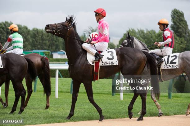 Jockey Chad Schofield riding Wonder Siluro runs 5th during the Race 4 at Sapporo Racecourse on August 25, 2018 in Sapporo, Hokkaido, Japan.