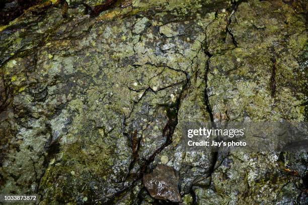 Water Rounded Basalt Basalt Close Up Photos and Premium High Res Pictures - Getty Images