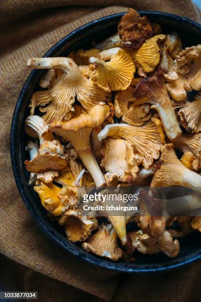 fresh chanterelle mushrooms on rustic background. autumn concept - cantharellus cibarius stock pictures, royalty-free photos & images