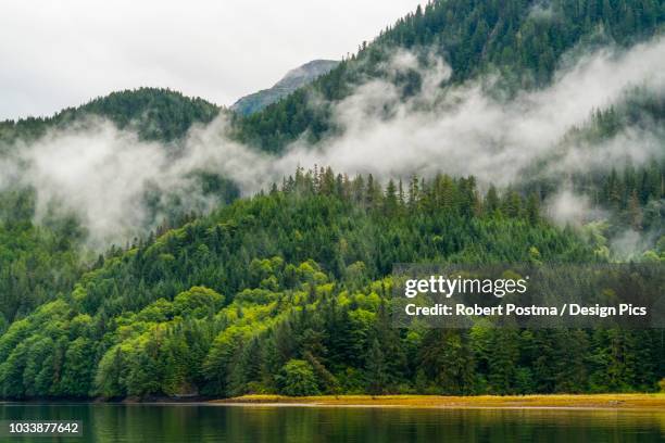 moody landscape of mist over the great bear rainforest - great bear rainforest stock pictures, royalty-free photos & images