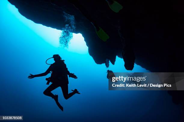 scuba divers in the great blue hole dive site on the belize barrier reef. this site was made famous by jacques cousteau, who declared it one of the top five scuba diving sites in the world - belize stock-fotos und bilder