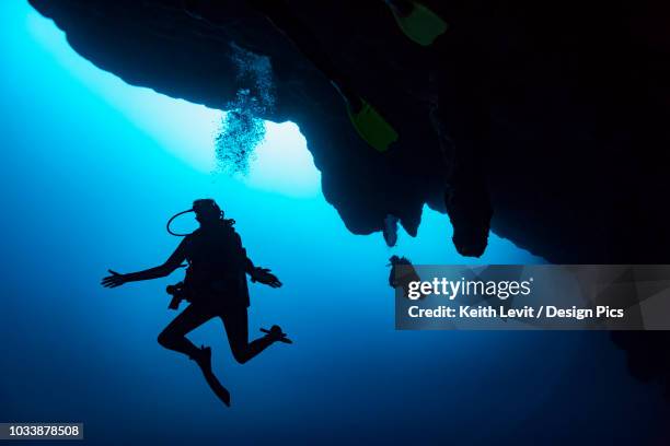 scuba divers in the great blue hole dive site on the belize barrier reef. this site was made famous by jacques cousteau, who declared it one of the top five scuba diving sites in the world - scuba diving girl stockfoto's en -beelden