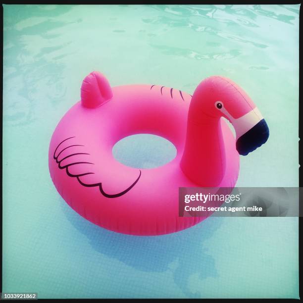 flamingo pool toy - inflatable pool toys imagens e fotografias de stock