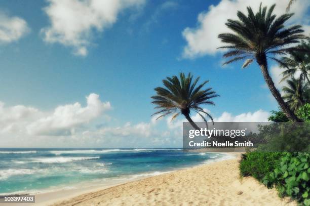 dreamy beach - waimea bay stock pictures, royalty-free photos & images