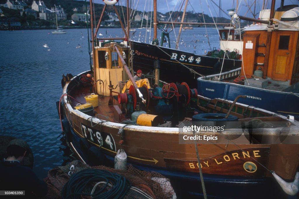 Tarbert Fish Fishing boats in Tarbert harbour, Tarbert, a small fishing village ...