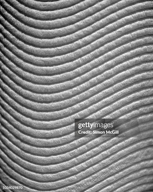 close-up of a roll of paper towel - ribbed stock pictures, royalty-free photos & images
