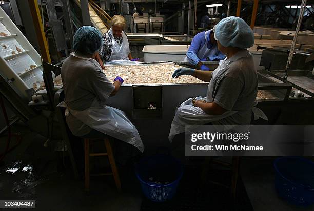 Workers sort Gulf Coast shrimp as they move along a production line at Lafitte Frozen Seafood Corporation on August 16, 2010 in Lafitte, Louisiana....