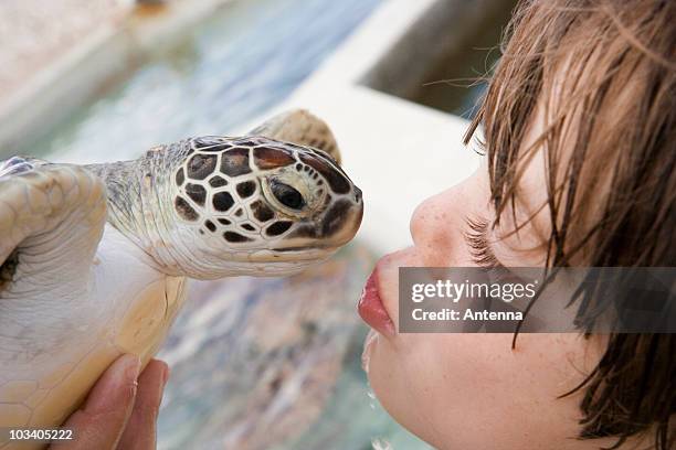 detail of a boy kissing a turtle - extreme close up kiss stock pictures, royalty-free photos & images