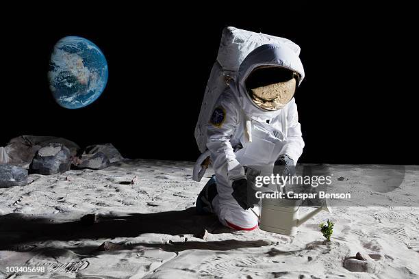 an astronaut gardening on the moon - soy luna fotografías e imágenes de stock