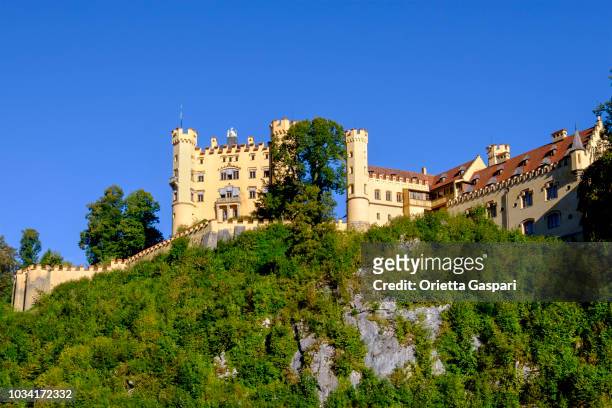 hohenschwangau castle (bavaria, germany) - hohenschwangau castle stock pictures, royalty-free photos & images