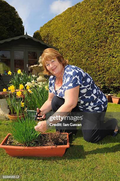 Jill Hamilton Reeves 54 Jill Reeves Stock Photos, High-Res Pictures, and Images - Getty Images