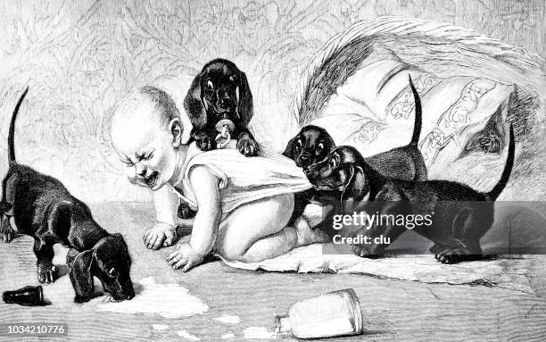 attack of dachshunds on a baby - baby dachshunds stock illustrations
