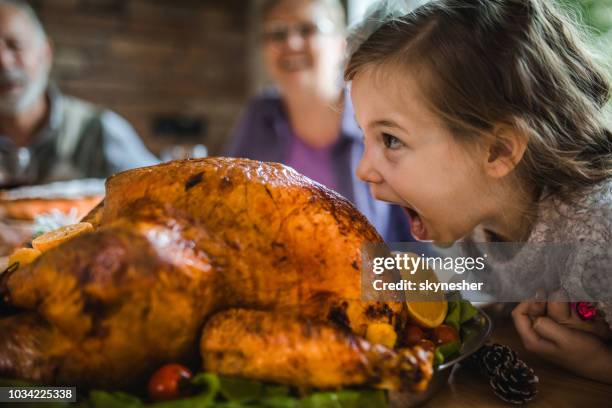 liten tjej att ha kul samtidigt på att bita en rostad kalkon på thanksgiving. - thanksgiving bildbanksfoton och bilder