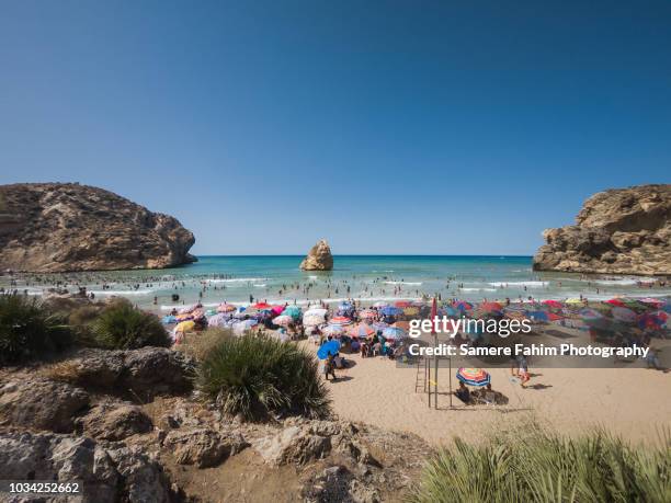 hundreds of people on beach during the summer - algerian people stock pictures, royalty-free photos & images