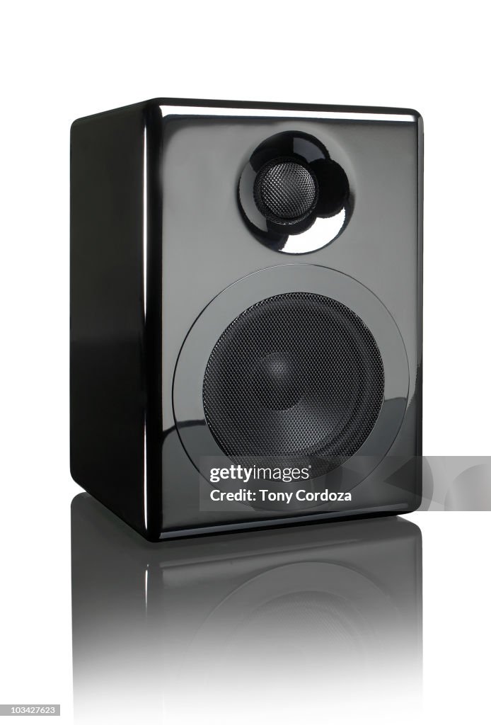 Audio Speaker
