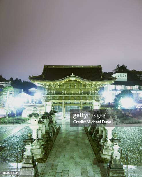 narita temple gate at night while raining - narita foto e immagini stock