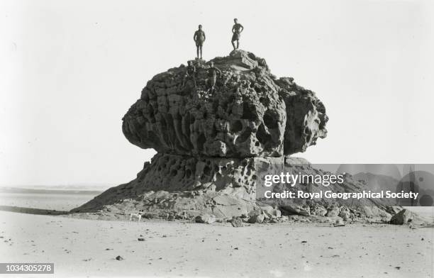 The column's puppy displeased in not being able to follow its officers, Original caption in Italian reads:- " Il cagnetto della colonna seccato per...