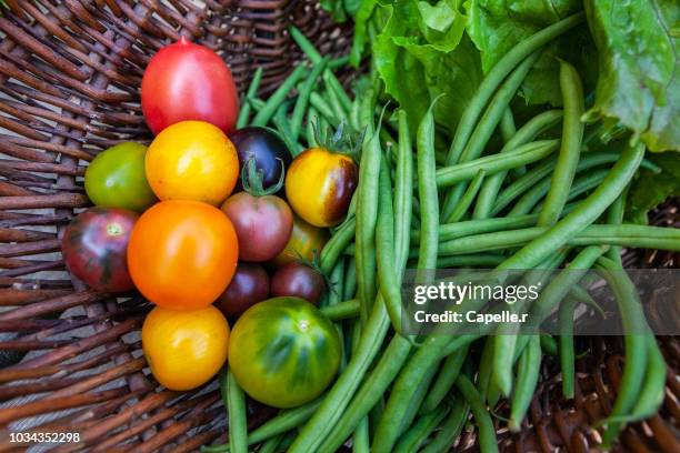 nourriture - tomates et haricots vert - panier legumes stock pictures, royalty-free photos & images