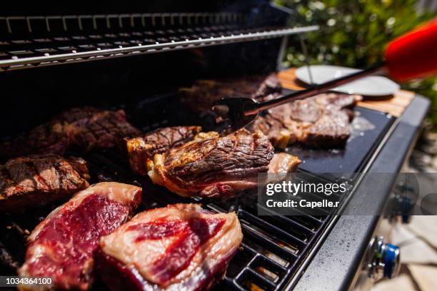 nourriture - grillade - grillade fotografías e imágenes de stock