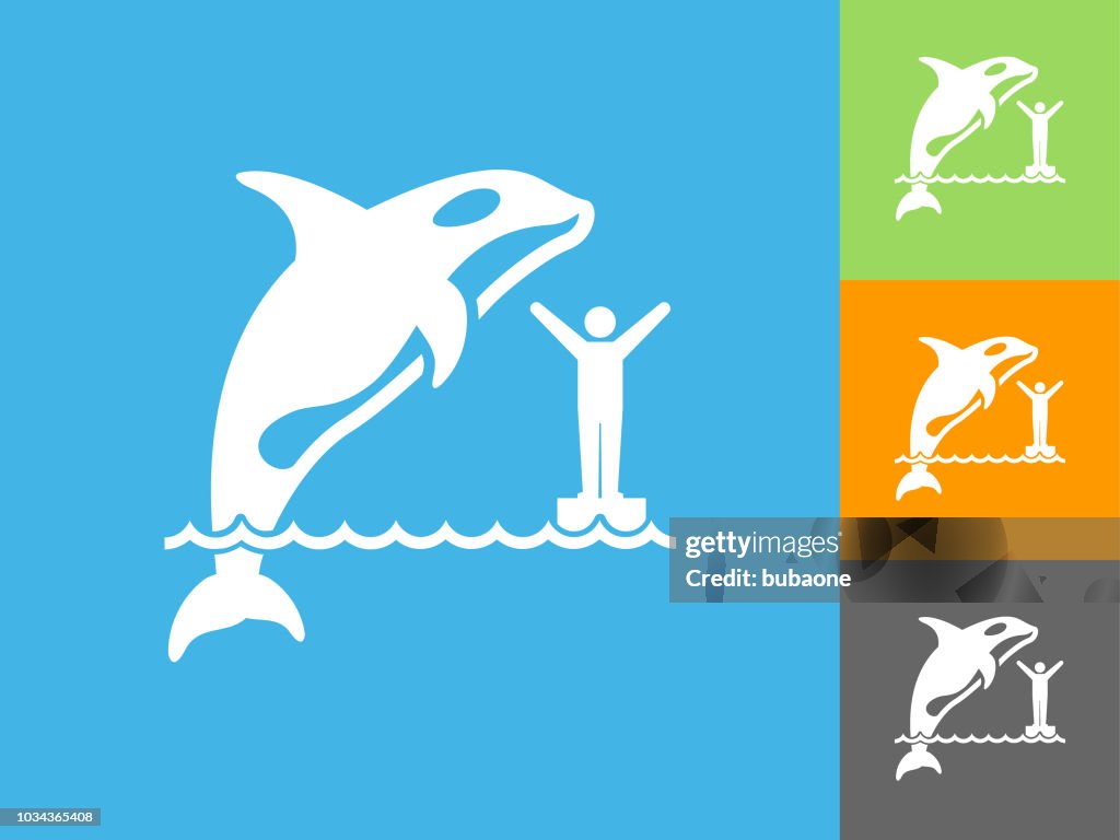 Icono plano orca sobre fondo azul