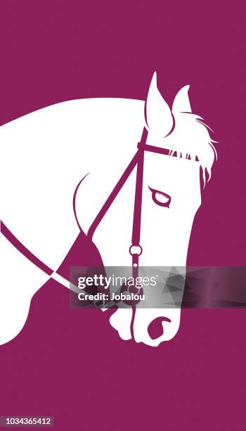 ilustraciones, imágenes clip art, dibujos animados e iconos de stock de cabeza de caballo clip art - cabeza de animal