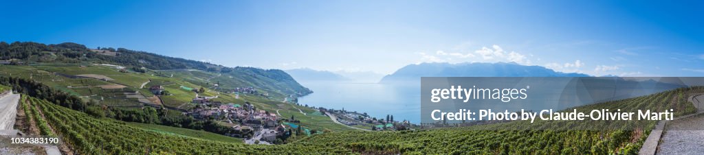 Panorama of the famous Lavaux Vineyard Terraces