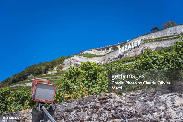 the famous lavaux vineyard terraces - kanton waadt stock-fotos und bilder