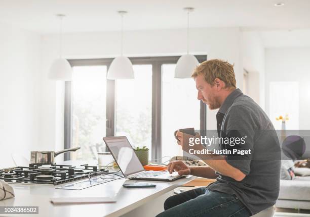 man working from home - one mid adult man only bildbanksfoton och bilder