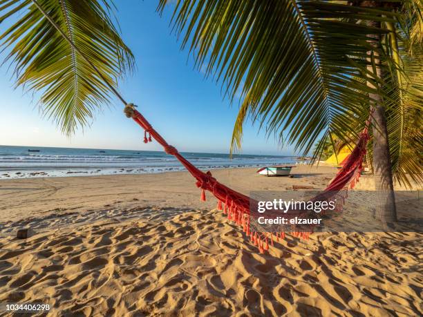 icaraí da amontada. - fortaleza stad fortaleza stockfoto's en -beelden
