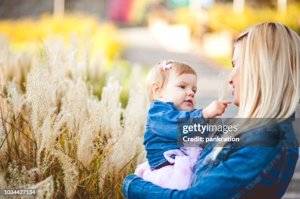 happy mother and her baby daughter in the autumnal park - gorizia stock pictures, royalty-free photos & images