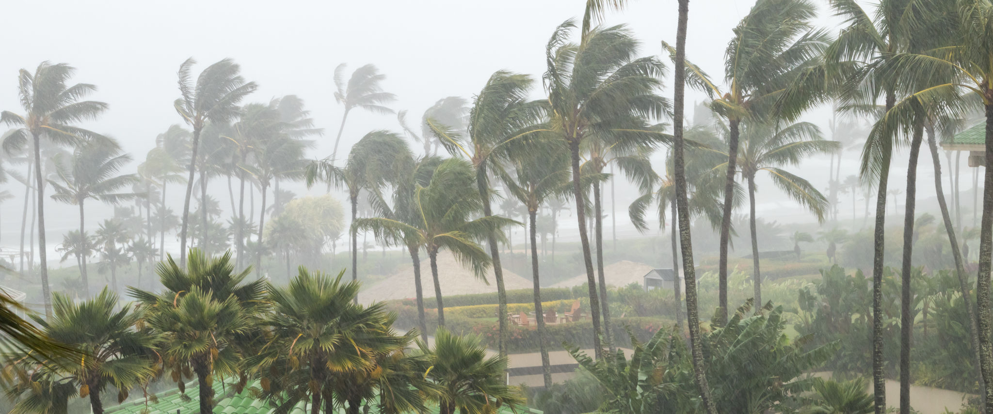 hawaii rain