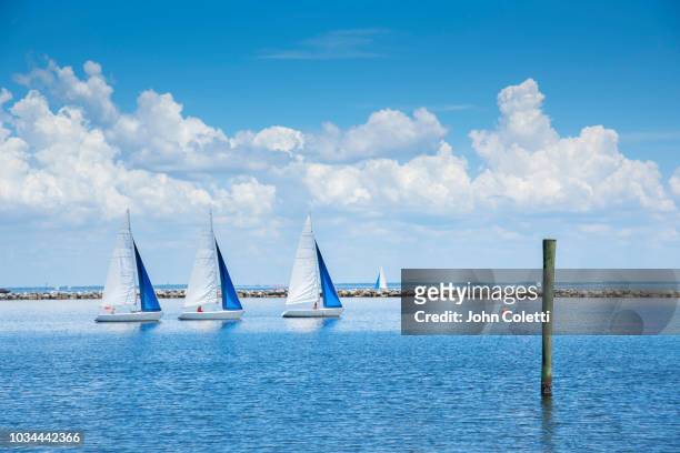 sailboats, tampa bay, saint petersburg, florida - tampa foto e immagini stock