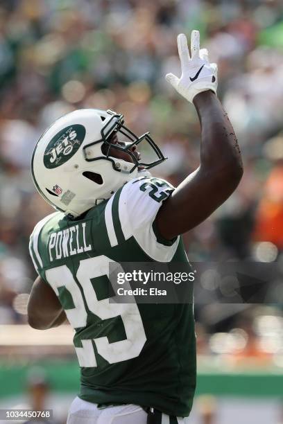 Running back Bilal Powell of the New York Jets celebrates his toudchdown against the Miami Dolphins in the third quarter at MetLife Stadium on...