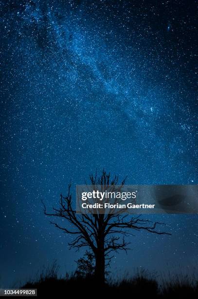 The dead tree is pictured in front of the milkyway on September 15, 2018 in Gebelzig, Germany.