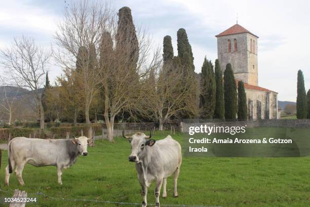 basilica of saint-just de valcabrère - camino de santiago pyrenees stock pictures, royalty-free photos & images