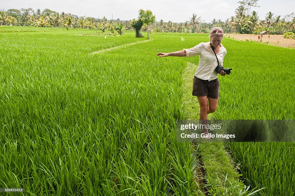 Female tourist walking along grass wall between two rice paddies near Ubud, Bali, Indonesia