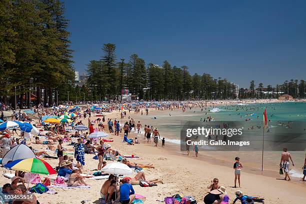 people relaxing on manly beach, manly, sydney, new south wales, australia - manly beach stock-fotos und bilder