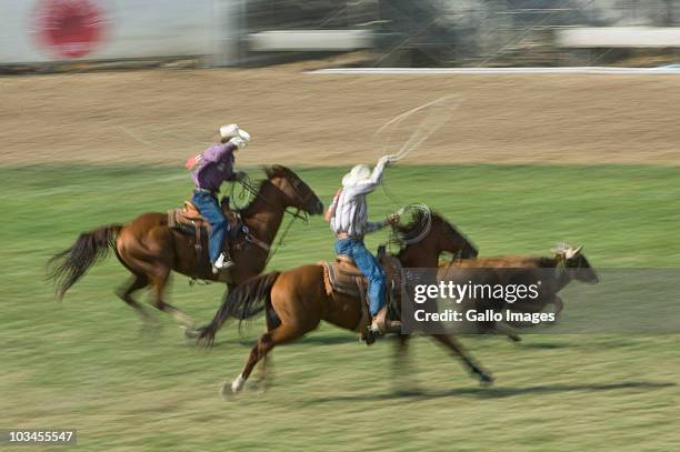 Rodeo Calf Roping Photos and Premium High Res Pictures - Getty Images