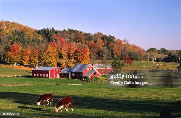 farm near thetford, vermont, usa - vermont stock-fotos und bilder