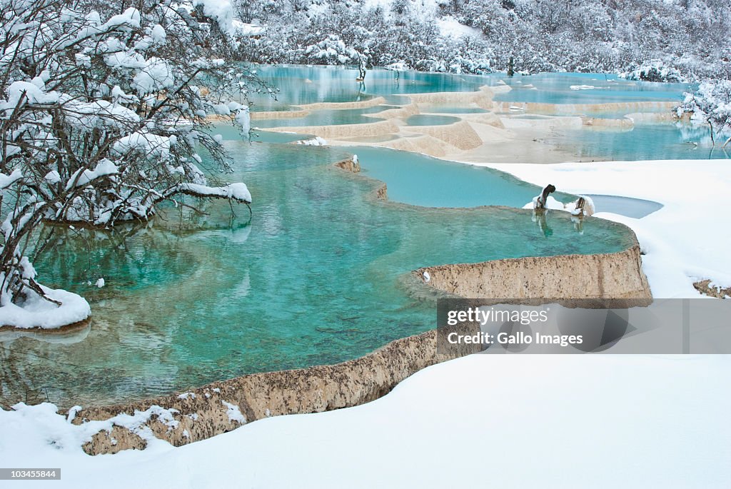 Travertine Banks Form Fivecolored Pool Huanglong National Park Sichuan ...