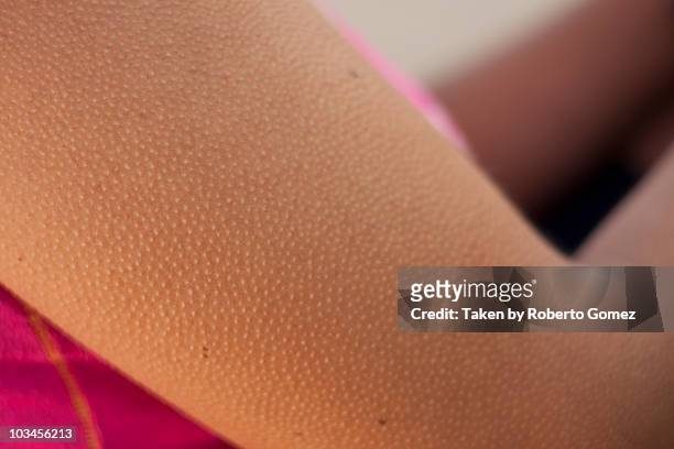 goose bumps - sensory perception stock pictures, royalty-free photos & images