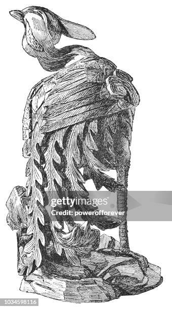 Statue De Fenghuang Chinois Antique, Photo